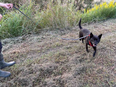 8C303E1C-932C-4B0F-808A-215FDCBEC24A