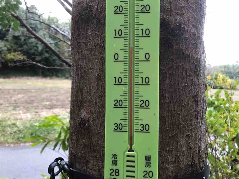 45A2834B-CCF8-4EED-8701-0E9EA4525E6B