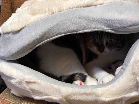 6471BD8C-E35D-41C5-A227-BD399E6FA4FA