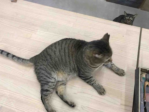 90041AF7-7900-4657-B667-0FE2856406BB