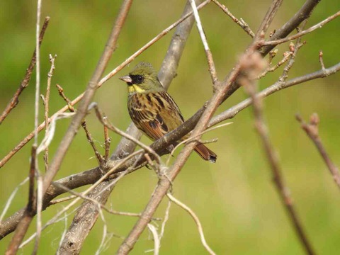 3B123DB8-B389-49E0-9E3C-290B5C36C78A