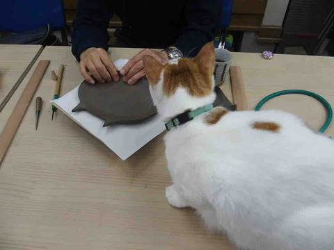 9E12F688-ED9B-433F-AA0F-57CBECC4340F