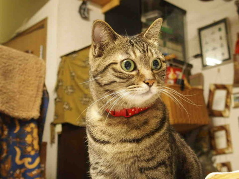 BB5A8787-4064-443E-9481-161553C2A11A