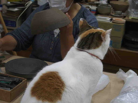 A73A398C-3E47-44C0-8061-00EA9E704032