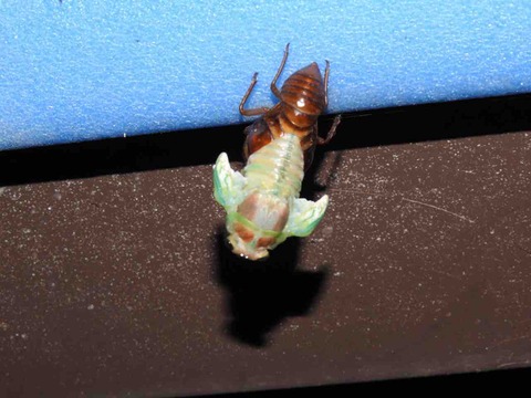 87FFE1E8-FAD3-4DB9-8F54-3A2666C3AB6C