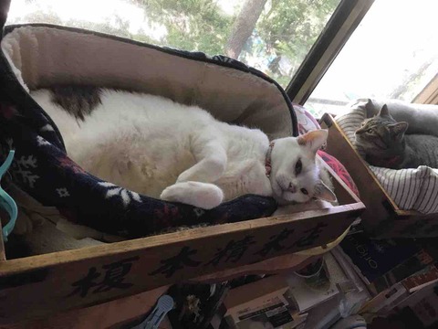 8EDF04CC-D1CF-4169-9715-99FAC6133884