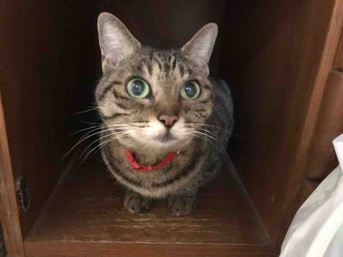 BFBB7B40-8B93-4D22-BA34-F4A53F64334B