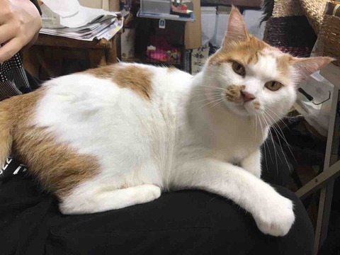 C732A64C-618C-4C04-8EC4-4B907E84FBAB