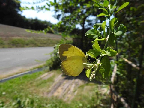 16355D21-12A0-4FD8-94EC-25427A9020E4