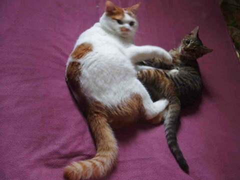 4FEE9D5D-62B7-46D4-923F-74DEFBFF3EB1