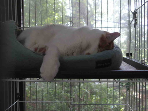 91E4400B-B305-43E7-A7D8-6730F8153CAE