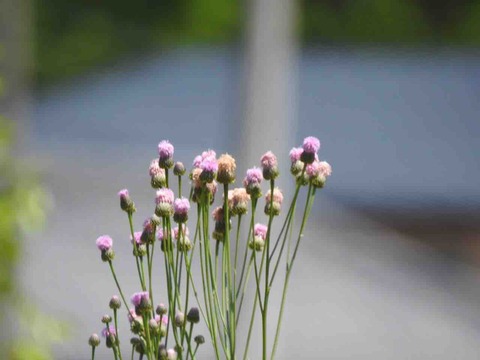 C3CDB643-3F09-4EE0-B5E9-F11314F094ED