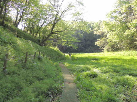 4498EC1F-2F8F-4A33-B185-7F4EC289A750