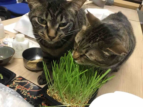 7D776401-32F4-4339-AA16-45F123306316