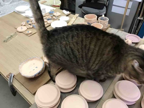 D2503C43-1C36-4A36-A872-2531826AB6D5