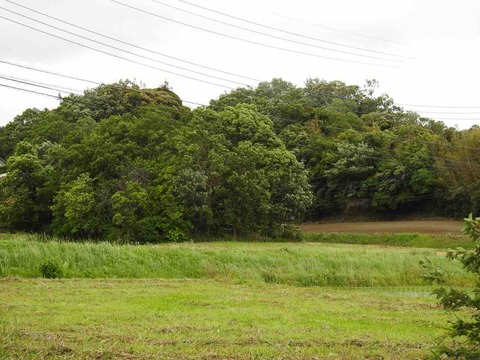 AE4024B4-CF5B-424A-A7E8-48C556C9A002