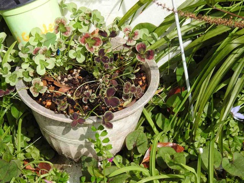 91B2049D-302B-4192-9990-090969588323