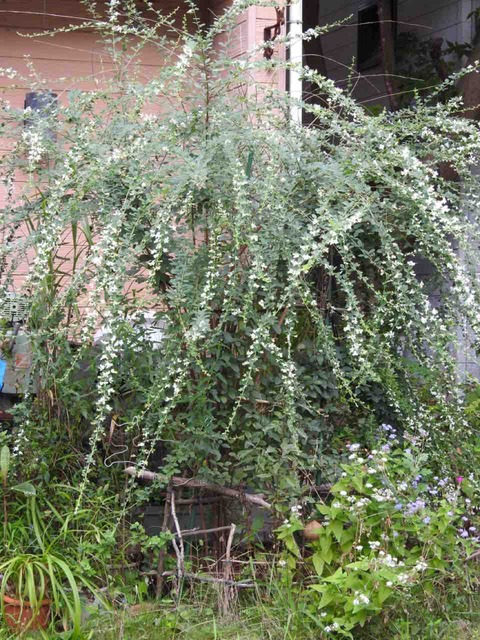 BFFABBB4-C129-4A54-80FD-838D2D435871