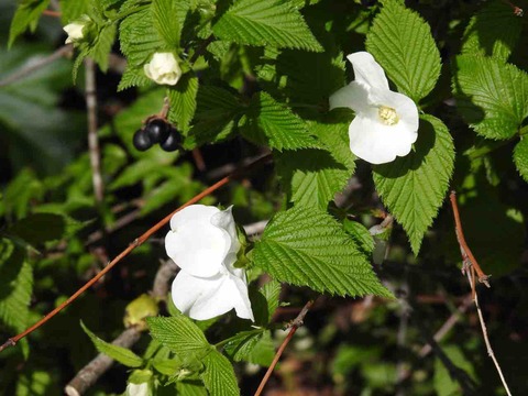 51BAC0E5-D27D-4ED5-96A1-F78691509396