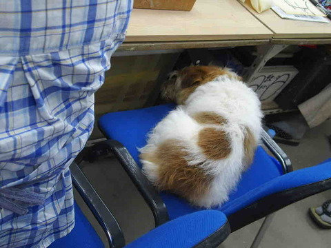 C7FA90B0-6214-46A7-A7A8-5C252A9090FF