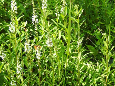 CA7E3CD1-E354-4326-B014-513C03049ED1