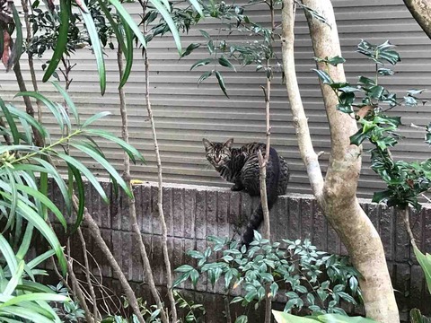 11204C0A-FDEE-4785-AB87-891E3A96A85D