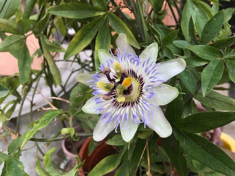 AC81DA05-996E-4C96-B820-A7D26F5DE2DA