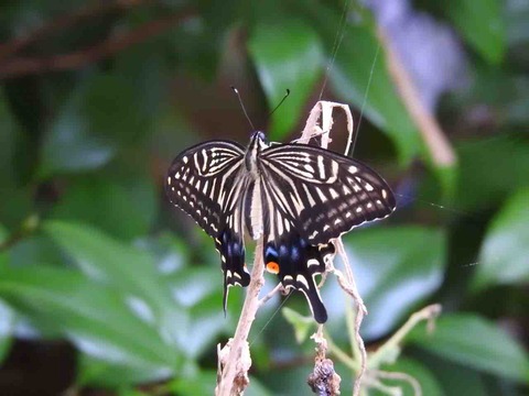 D2029EDB-79F5-4C31-A1B0-E6B118616033