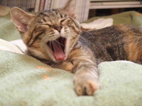 D400DF36-3024-4BD8-92B1-264207716C9B