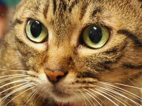 9EEF4D84-B0F4-4C01-81B8-DE87205E1BDC