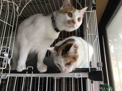 57BA25C7-D0A9-4592-B762-4F28FCB6ABA2