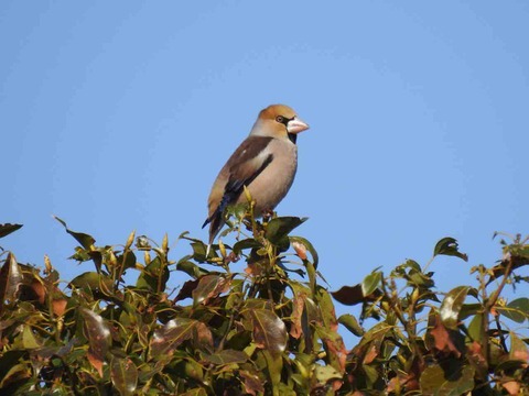 20CDC884-51EA-4988-85F3-E91C9D5811DC