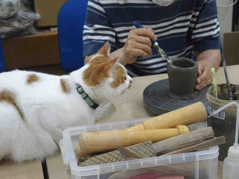 6A9AF1A9-5B29-4959-9CC6-9B21943B252D