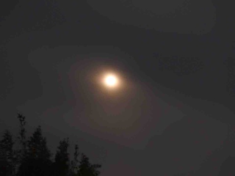 CA205C67-24B3-4413-9477-57850E89321B