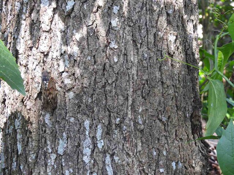 F05D585B-F0CC-4879-8671-B06831CB6690