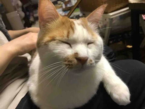 B649BF4E-87E1-4C91-907F-08E9DD1AAC04