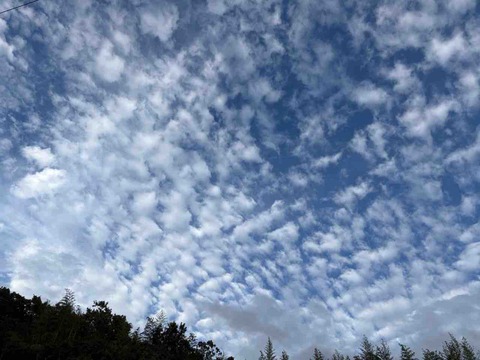 63E02338-3A2B-4D6B-B044-F19CAD65740A