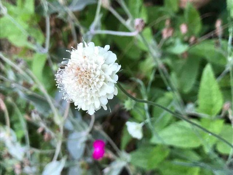 6DB4DAC6-10A5-43C2-99AD-4AC2DADA3046