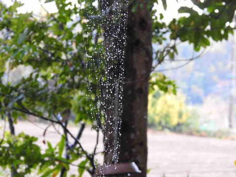 71E594D3-3E7A-484A-9884-3F6BDE43708D