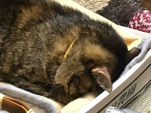 1C933AA2-A5BE-43DD-87D4-D436B79CBB2E