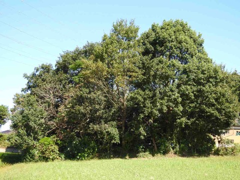 FA2DA63E-5D3C-4D10-A13D-391C4D7325D2