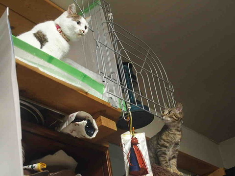 D30C19DB-13CE-4791-B4BA-3072C1A33213