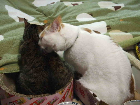 951D8894-8F62-4878-8254-E50072E11E52