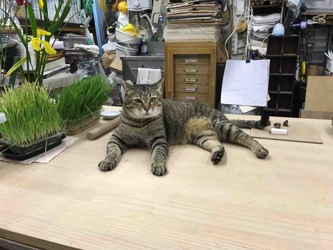 AFBA15B8-A2F9-4464-B05B-8569A4776609