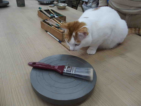 82C9476D-AD0F-4D4A-AEAB-3298AB20CC4C