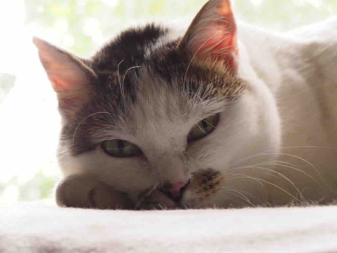 4A9738E4-5674-4B91-BF2B-A17E31EBFD4E