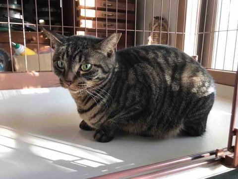 A7353180-91FC-4A5A-9F19-B85E0B95C35D