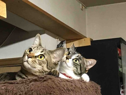 669715B7-2783-4BDA-B251-FCFD30B06AFC