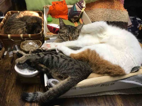 5BBBA991-8E66-495B-93D3-4E6C64CEECC0