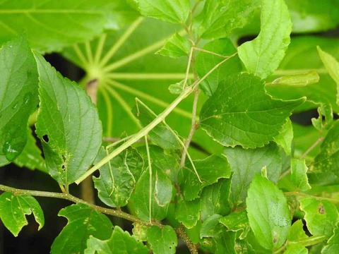 F888AF9C-4A67-4B19-9B36-FA1A1F66E73A